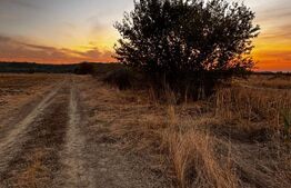 Teren extravilan 5000 , 2,5 euro mp BREASTA