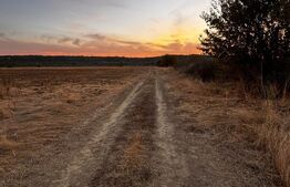 Teren extravilan 5000 , 2,5 euro mp BREASTA