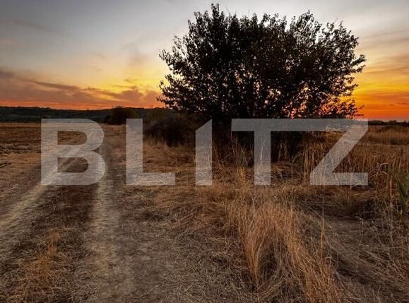 Teren de vânzare Brestei - 178101TV | BLITZ Craiova | Poza5