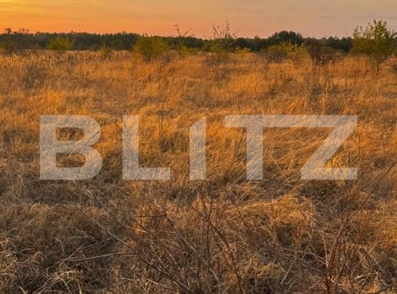 Teren de vânzare Brestei - 178101TV | BLITZ Craiova | Poza4