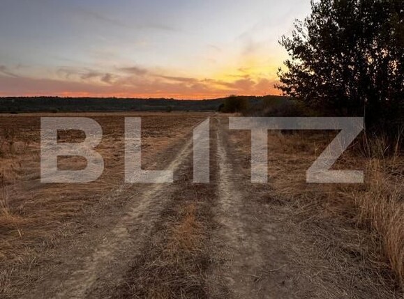Teren de vânzare Brestei - 178101TV | BLITZ Craiova | Poza2