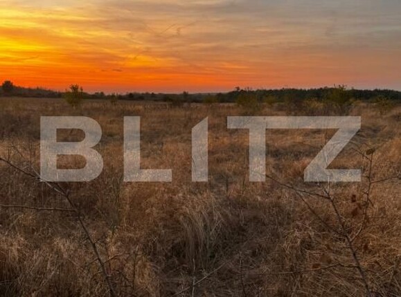 Teren de vânzare Brestei - 178101TV | BLITZ Craiova | Poza2