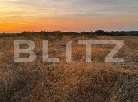 Teren de vânzare Brestei - 178101TV | BLITZ Craiova | Poza3