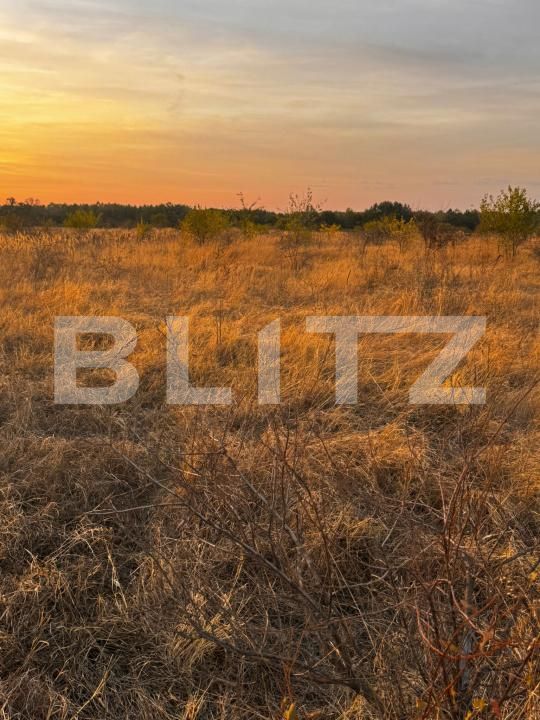Teren de vânzare Brestei - 178101TV | BLITZ Craiova | Poza4