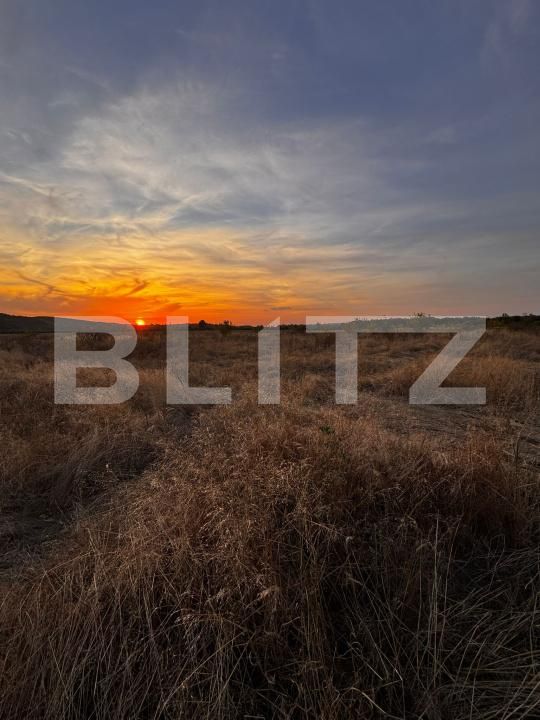 Teren de vânzare Brestei - 178101TV | BLITZ Craiova | Poza6