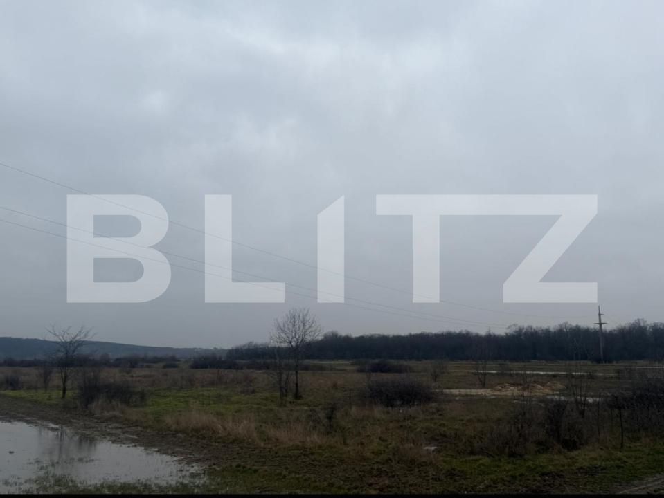 Teren de vânzare Brestei - 178101TV | BLITZ Craiova | Poza5