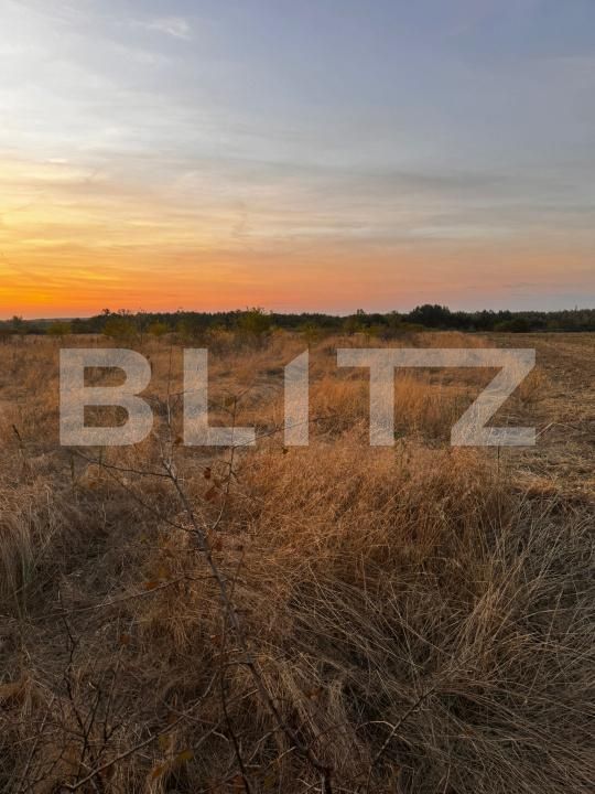 Teren de vânzare Brestei - 178101TV | BLITZ Craiova | Poza3