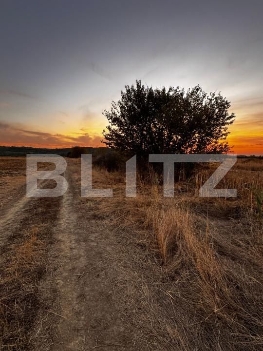 Teren de vânzare Brestei - 178101TV | BLITZ Craiova | Poza5