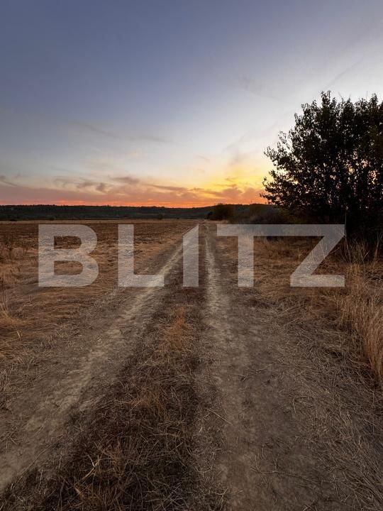 Teren de vânzare Brestei - 178101TV | BLITZ Craiova | Poza3