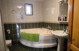 Casa 250 mp utili, 1450 mp teren, zona Balta Verde