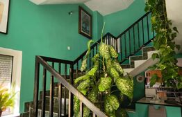 Casa 250 mp utili, 1450 mp teren, zona Balta Verde