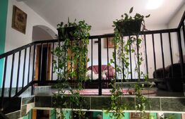 Casa 250 mp utili, 1450 mp teren, zona Balta Verde