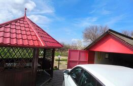 Casa 250 mp utili, 1450 mp teren, zona Balta Verde