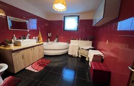 Casa P+M, 249 mp, Popoveni