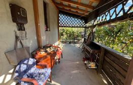 Casa P+M, 249 mp, 524 mp teren, Popoveni
