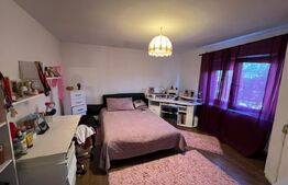 Casa P+M, 249 mp, Popoveni