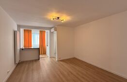 Garsonieră complet renovată, 31 mp, Brazda lui Novac