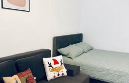 Garsonieră renovată și mobilată-utilată, 31 mp, Brazda lui Novac