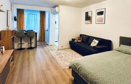 Garsonieră renovată și mobilată-utilată, 31 mp, Brazda lui Novac