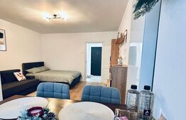 Garsonieră renovată și mobilată-utilată, 31 mp, Brazda lui Novac