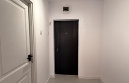 Garsonieră complet renovată, 31 mp, Brazda lui Novac