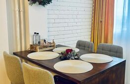 Garsonieră renovată și mobilată-utilată, 31 mp, Brazda lui Novac