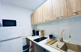 Garsonieră renovată și mobilată-utilată, 31 mp, Brazda lui Novac