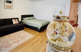 Garsonieră renovată și mobilată-utilată, 31 mp, Brazda lui Novac