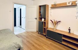 Garsonieră renovată și mobilată-utilată, 31 mp, Brazda lui Novac