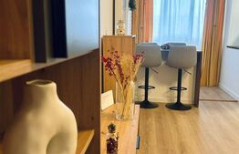 Garsonieră renovată și mobilată-utilată, 31 mp, Brazda lui Novac