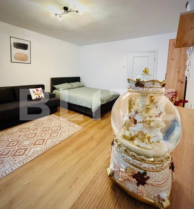 Garsonieră de vânzare Brazda lui Novac - 178106AV | BLITZ Craiova | Poza2