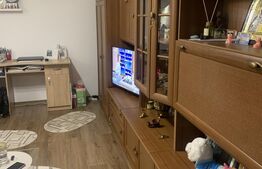 Apartament 2 camere decomandat, zona Electroputere Mall