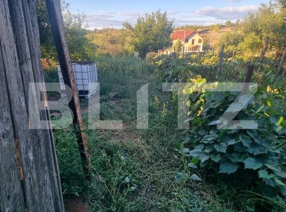 Teren de vânzare Filiaşi - 178134TV | BLITZ Craiova | Poza7