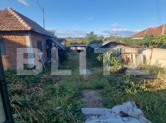 Teren de vânzare Filiaşi - 178134TV | BLITZ Craiova | Poza3