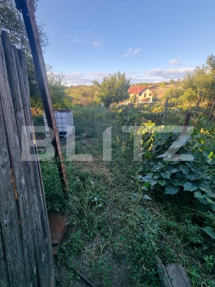 Teren de vânzare Filiaşi - 178134TV | BLITZ Craiova | Poza7