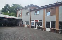 Spalatorie auto, spatii comerciale, b-dul N. Romanescu