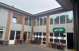 Spalatorie auto, spatii comerciale, b-dul N. Romanescu