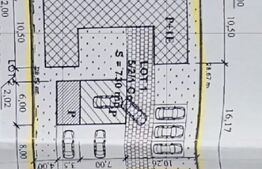 Spalatorie auto, spatii comerciale, b-dul N. Romanescu