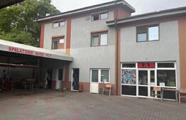 Spalatorie auto, spatii comerciale, b-dul N. Romanescu
