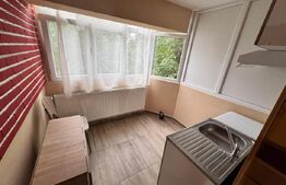 Garsoniera decomandata 38 mp, zona Restaurant Rocca - Brazda