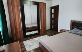 Apartament de inchiriat, 2 camere, Brazda lui Novac