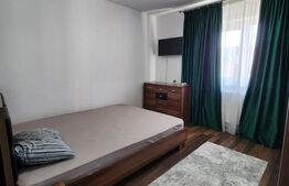 Apartament de inchiriat, 2 camere, Brazda lui Novac