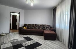 Apartament de inchiriat, 2 camere, Brazda lui Novac