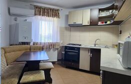 Apartament de inchiriat, 2 camere, Brazda lui Novac