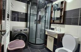 Apartament de inchiriat, 2 camere, Brazda lui Novac