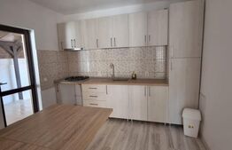 Casa P + 1 zona Lăpuș, 180 mp și teren 260 mp 