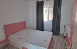 Casa P + 1 zona Lăpuș, 180 mp și teren 260 mp 