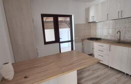 Casa P + 1 zona Lăpuș, 180 mp și teren 260 mp 