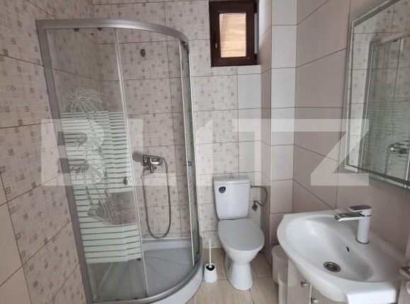 Casa de vânzare 4 camere Lapus Arges - 178330CV | BLITZ Craiova | Poza20