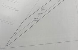 Teren intravilan, 12500 mp, Beharca